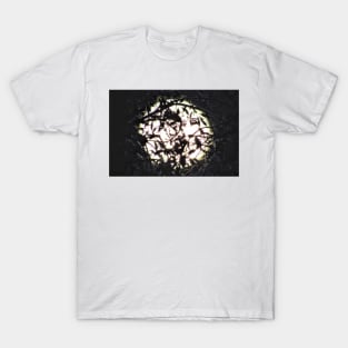 moonlight through the trees T-Shirt